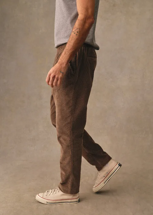 Pantalon Danny Velours - Tabac — image 5