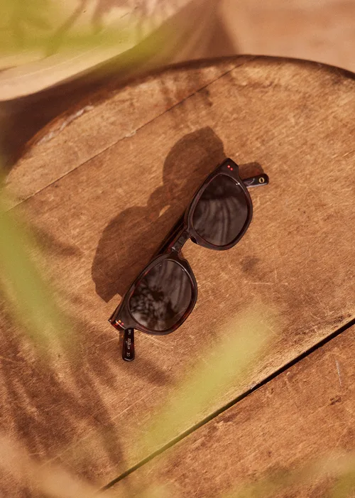 Lunettes de Soleil Wells - Écailles Marron Foncé — image 4