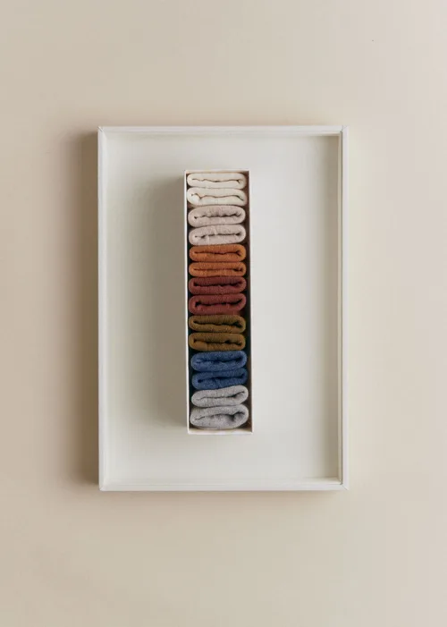 Semainier de chaussettes Naissance - Multicolore