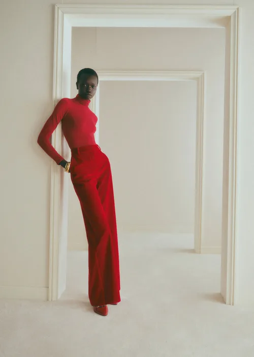 Velours Rouge