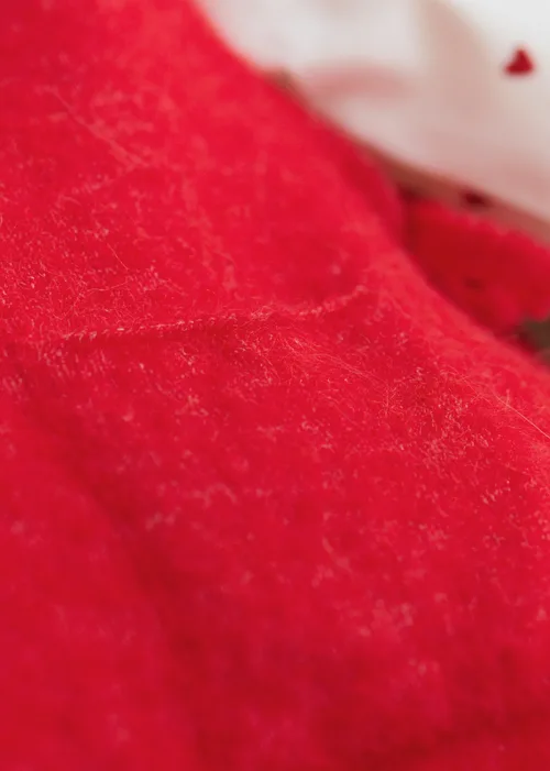 Pull Léandre - Rouge — image 4