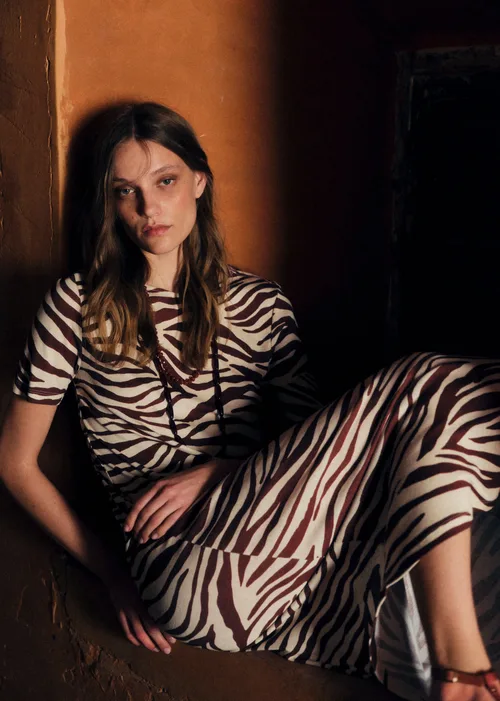 Robe Lara - Imprimé Zebra Terre — image 3