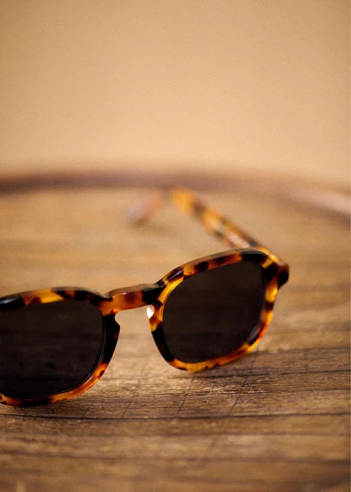 Lunettes de soleil Leo - Écailles — image 3