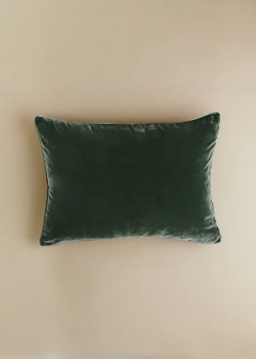 Celadon Fonce