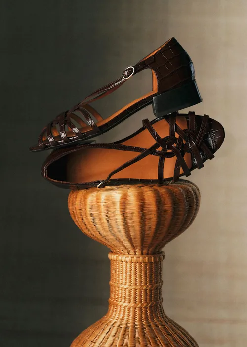 Brun Croco
