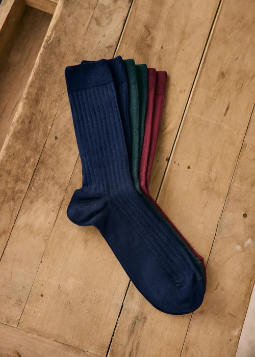 Chaussettes Pack Ivie - Bordeaux Bleu Vert — image 3